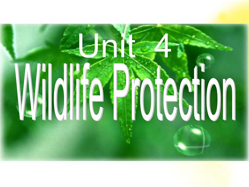 英语人教版必修1  4.1Unit4《Wildlife Protection》课件04