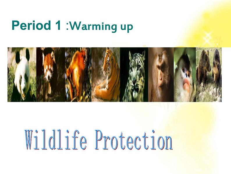 英语人教版必修1  4.1Unit4《Wildlife Protection》课件05