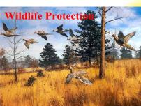 人教版 (新课标)必修1&2Unit 4 Wildlife Protection教课内容课件ppt