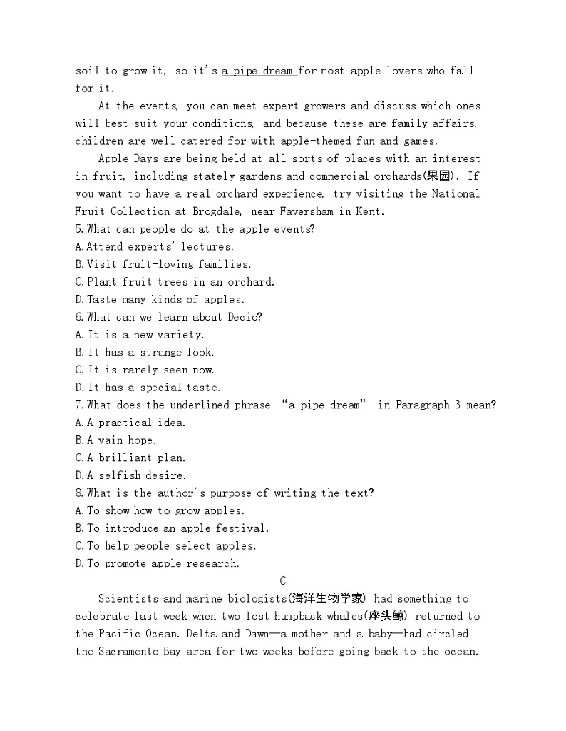 UNIT 3 CELEBRATIONS 达标检测-2022版英语必修第一册北师大版（2019） 同步练习 （Word含解析）03