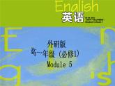 Module 5 A Lesson in a Lab Vocabulary and speaking PPT课件