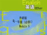 Module 5 A Lesson in a Lab Introduction PPT课件