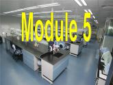Module 5 A Lesson in a Lab Introduction PPT课件