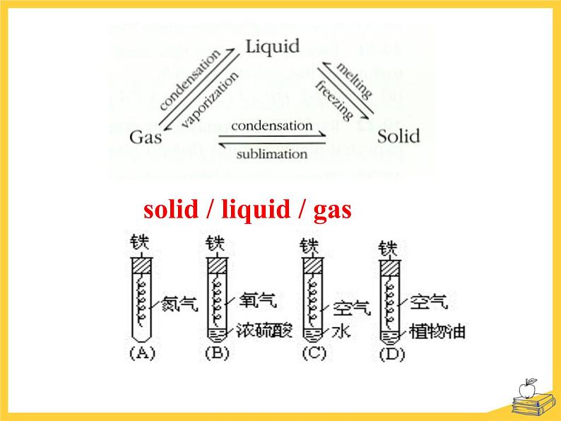 Module 5 A Lesson in a Lab Introduction PPT课件第6页