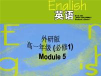 外研版必修1Module 5 A Lesson in a Lab备课ppt课件