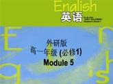 Module 5 A Lesson in a Lab Writing PPT课件