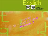 高中英语外研版必修2Module 3 Music课文课件ppt
