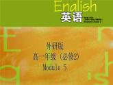 Module 5 Newspapers and Magazines Introduction and reading　ＰＰＴ课件
