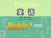 Module 1 Europe Grammar 1 PPT课件
