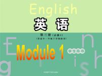 外研版必修3Module 1 Europe教案配套ppt课件