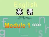 Module 1 Europe Introduction and Reading PPT课件
