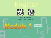 外研版必修3Module 1 Europe课文课件ppt