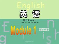 高中英语外研版必修3Module 1 Europe备课课件ppt