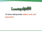 Module 1 Europe Grammar 2 PPT课件