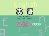 Module 2 Developing and Developed Countries Grammar PPT课件