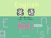 Module 2 Developing and Developed CountriesVocabulary and Listening,Vocabulary and speaking PPT课件