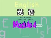 Module 4 Sandstorms in Asia Grammar PPT课件