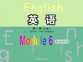 Module 6 Old and New Cultural Corner & Writing PPT课件