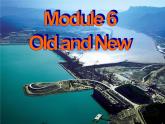 Module 6 Old and New Grammar PPT课件