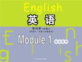 Module 1 Life in the Future Cultural Corner, Everyday English PPT 课件