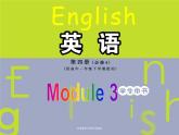 Module 3 Body Language and Non-verbal Communication Reading and Vocabulary PPT课件