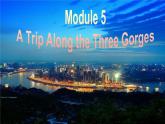Module 5 A Trip Along the Three GorgesGrammar PPT课件