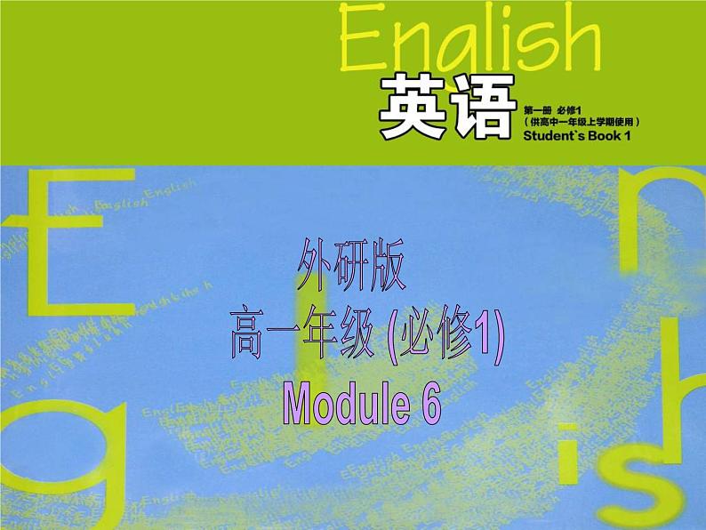 外研版 / 必修1 Module 6 The Internet and Telecommuniation Grammar 2 PPT课件01