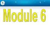 外研版 / 必修1 Module 6 The Internet and Telecommuniation Grammar 2 PPT课件
