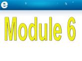 外研版 / 必修1 Module 6 The Internet and Telecommuniation Reading and Vocabulary PPT课件