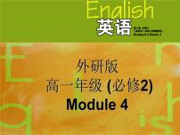 外研版必修2Module 4 Fine Arts – Western, Chinese and Pop Arts教学演示ppt课件