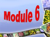 外研版 必修2  Module 6 Fillms and TV Programmes Vocabulary and ListeningＰＰＴ课件