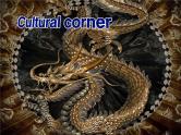 外研版英语必修4 Module 6 Unexplained Mysteries of the Natural World  Cultural Corner & Writing  PPT课件