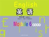 外研版英语必修4 Module 6 Unexplained Mysteries of the Natural World  Function & Grammar PPT课件