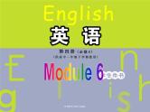 外研版英语必修4 Module 6 Unexplained Mysteries of the Natural World Listening and Vocabualry & Pronunciation PPT课件