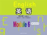 外研版英语必修4 Module 6 Unexplained Mysteries of the Natural World Introduction & Reading and Vocabulary  PPT课件