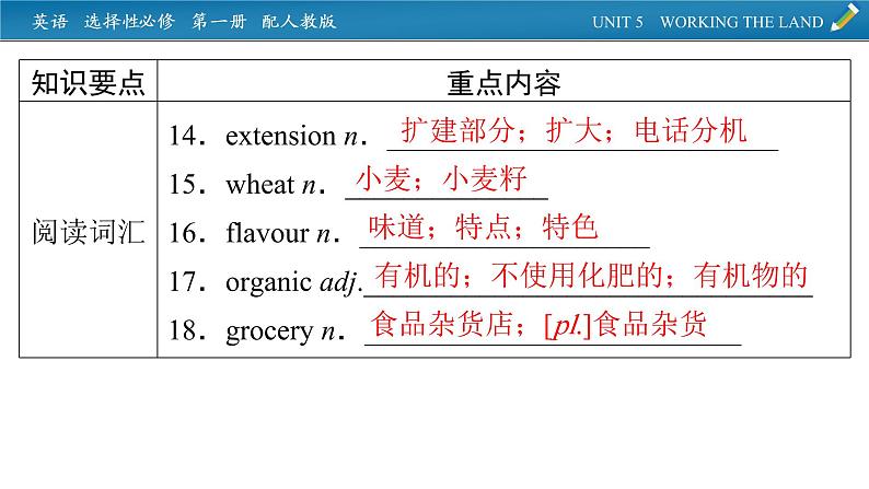 新教材人教英语选择性必修第一册  单元要点回顾Unit 5 PPT课件第4页