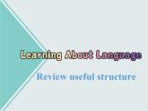 Unit 5 Review useful structure----新教材人教版高中英语选择性必修3课件