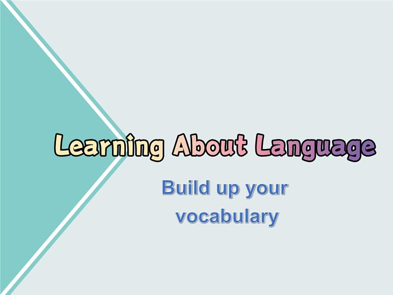 Unit 4 Learning About Language----新教材人教版高中英语选择性必修3课件02