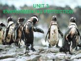 Unit 3 Reading and Thinking----新教材人教版高中英语选择性必修3课件