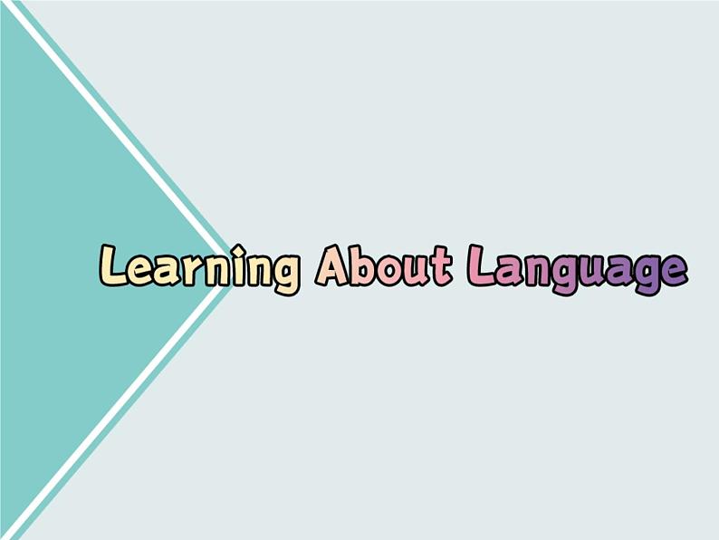 Unit 3 Learning About Language----新教材人教版高中英语选择性必修3课件02