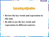 Unit 3 Learning About Language----新教材人教版高中英语选择性必修3课件