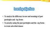 Unit 4 Learning About Language----新教材人教版高中英语选择性必修2课件