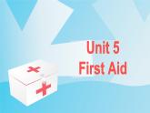 Unit 5 Project----新教材人教版高中英语选择性必修2课件