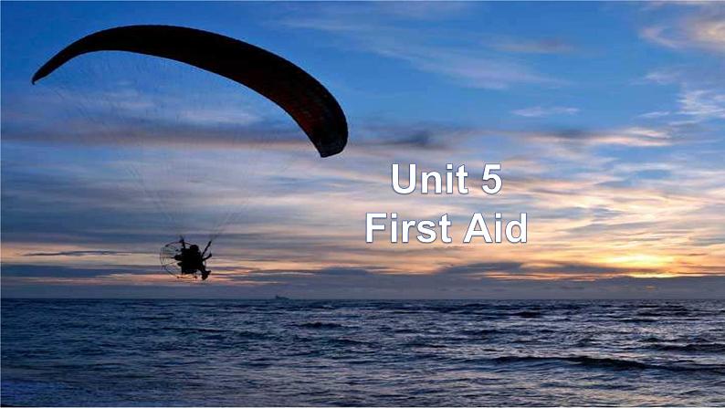 Unit 5 Video Time----新教材人教版高中英语选择性必修2课件02