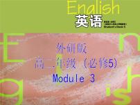 外研版必修5Module 3 Adventure in Literature and the Cinema多媒体教学课件ppt