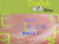 2020-2021学年Module 3 Adventure in Literature and the Cinema多媒体教学课件ppt