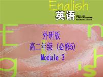 外研版必修5Module 3 Adventure in Literature and the Cinema集体备课课件ppt