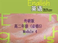 高中英语外研版必修5Module 4 Carnival多媒体教学课件ppt