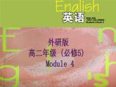 Module 4 Carnival Introduction, Reading and Vocabulary PPT课件