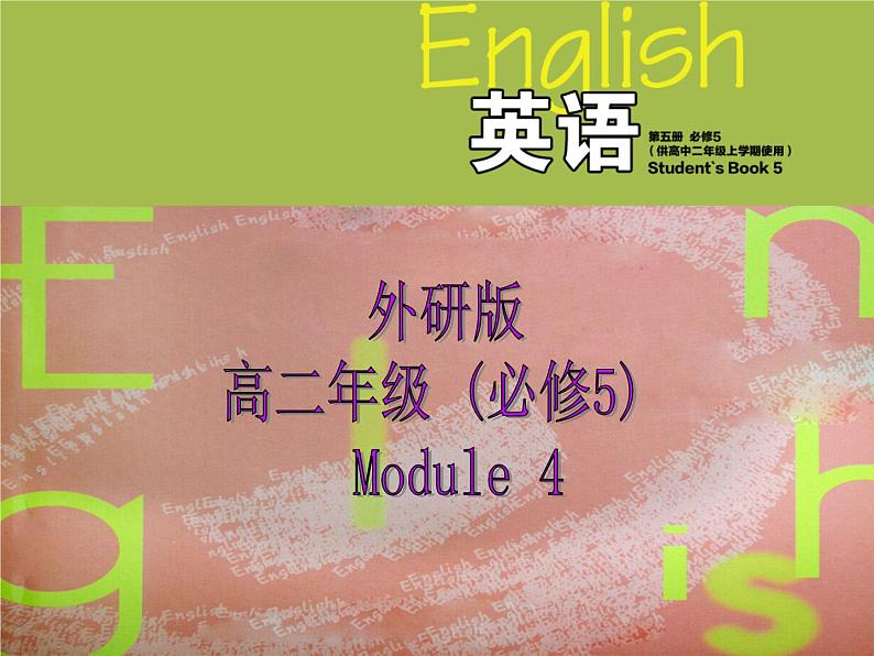 Module 4 Carnival Grammar PPT课件第1页